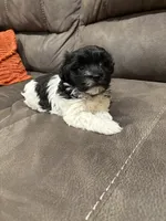 processed/d176b850-9a33-4927-b0ce-109b2c0dccef/listing/342c1fe0-4558-4843-8894-6b9ec1fc65a0/155a549c-819b-41cd-9567-235c8f9a1108