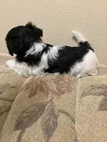 processed/d176b850-9a33-4927-b0ce-109b2c0dccef/listing/342c1fe0-4558-4843-8894-6b9ec1fc65a0/19663392-36d8-40b1-8723-d46bc66771fb