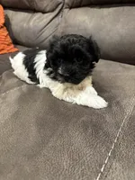 processed/d176b850-9a33-4927-b0ce-109b2c0dccef/listing/342c1fe0-4558-4843-8894-6b9ec1fc65a0/224271b6-42c9-4212-b23a-2d4875c57a8a