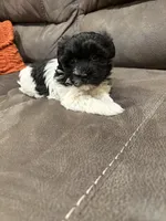 processed/d176b850-9a33-4927-b0ce-109b2c0dccef/listing/342c1fe0-4558-4843-8894-6b9ec1fc65a0/39aca316-0c64-4b86-a06b-eb7f1b9b047d