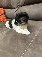 processed/d176b850-9a33-4927-b0ce-109b2c0dccef/listing/342c1fe0-4558-4843-8894-6b9ec1fc65a0/3a647a13-44ad-4103-8807-059f9a82f282