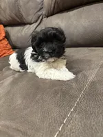 processed/d176b850-9a33-4927-b0ce-109b2c0dccef/listing/342c1fe0-4558-4843-8894-6b9ec1fc65a0/415e65f8-c5da-4a3c-98f5-a7738aacb066