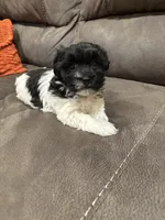 processed/d176b850-9a33-4927-b0ce-109b2c0dccef/listing/342c1fe0-4558-4843-8894-6b9ec1fc65a0/66e08825-4ccb-4484-bc38-fc66d390b900