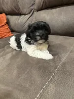 processed/d176b850-9a33-4927-b0ce-109b2c0dccef/listing/342c1fe0-4558-4843-8894-6b9ec1fc65a0/94c65292-2860-4917-9b7b-8a55af3e1731