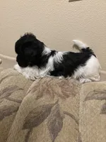 processed/d176b850-9a33-4927-b0ce-109b2c0dccef/listing/342c1fe0-4558-4843-8894-6b9ec1fc65a0/ea55fff0-37ea-41c3-b6f2-697eb9175f8d