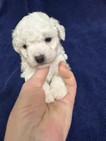 processed/d176b850-9a33-4927-b0ce-109b2c0dccef/listing/5fe71df9-e278-425e-b1b8-ffd053a71bb2/63781849-c754-4576-a0b6-b8ee50e60a26