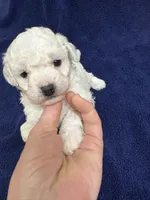 processed/d176b850-9a33-4927-b0ce-109b2c0dccef/listing/5fe71df9-e278-425e-b1b8-ffd053a71bb2/e80b9c34-aee8-4921-81ce-a36fd44d5e1b