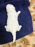 processed/d176b850-9a33-4927-b0ce-109b2c0dccef/listing/83b11820-1f2c-4eb7-99c1-f96b268a8bfa/12d98ba9-c08a-46f4-bf0b-810be44ef3af