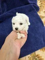 processed/d176b850-9a33-4927-b0ce-109b2c0dccef/listing/83b11820-1f2c-4eb7-99c1-f96b268a8bfa/372e296f-b018-4411-8bb1-34abc5a43804