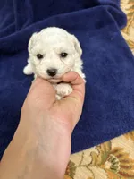 processed/d176b850-9a33-4927-b0ce-109b2c0dccef/listing/83b11820-1f2c-4eb7-99c1-f96b268a8bfa/a424aec9-fbde-492d-90e3-2aa68480db21