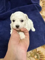 processed/d176b850-9a33-4927-b0ce-109b2c0dccef/listing/83b11820-1f2c-4eb7-99c1-f96b268a8bfa/c2c0b117-b565-4572-8844-07f35ef80954