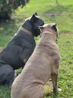 processed/d17910c5-5e5f-4b68-ab86-344a4178d183/facility/31fc9bf2-025b-4276-9fbd-73e3e9415a2c