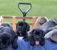 processed/d17910c5-5e5f-4b68-ab86-344a4178d183/facility/505d29fc-3c93-4769-b3fd-1ccf2d1238ad