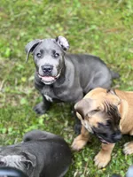 processed/d17910c5-5e5f-4b68-ab86-344a4178d183/facility/7f21db0b-5164-40ff-8edf-72da21cbe2d2