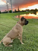 processed/d17910c5-5e5f-4b68-ab86-344a4178d183/facility/ab21055e-635c-4465-82c4-b286524b5204