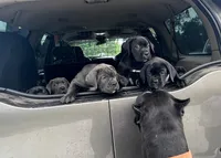 processed/d17910c5-5e5f-4b68-ab86-344a4178d183/facility/c5db289b-9e0d-4066-b978-4c794fc62702