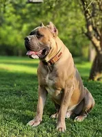 processed/d17910c5-5e5f-4b68-ab86-344a4178d183/facility/c9f592b1-c0e8-4406-a5d2-67be42182cc8