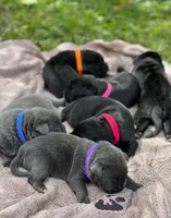 processed/d17910c5-5e5f-4b68-ab86-344a4178d183/facility/eae4d8de-aaf0-4f9c-ae46-d8f002f9e4c4