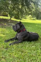 processed/d17910c5-5e5f-4b68-ab86-344a4178d183/facility/fe6d23ff-547c-4168-94f2-0436a92c6340