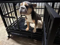 processed/d17f7b50-140c-4b39-96e4-bf02a671da25/facility/3c7c9741-089a-484e-8a75-ff745f737ac5