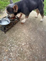 processed/d17f7b50-140c-4b39-96e4-bf02a671da25/facility/64bf55c8-11a1-49b1-a46c-2cb97437ebe6