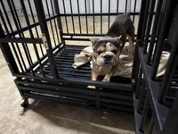 processed/d17f7b50-140c-4b39-96e4-bf02a671da25/facility/728eef3f-5ab5-4877-b9e3-d65b8523c8ce