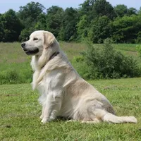 processed/d181c096-4ef4-4f66-846d-4378c310d118/facility/349b1b32-088c-489c-b842-6047c2247688