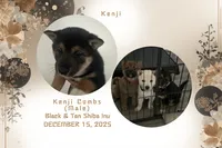 processed/d1829409-9a0c-4576-b586-43245b05fe49/listing/84a5f766-e6e0-490c-a77c-2f3f88db469a/ee4b239f-faa5-4da6-84ac-68e9f6773fe3