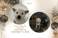 processed/d1829409-9a0c-4576-b586-43245b05fe49/listing/84b33661-1066-4e6f-8580-93ee0bee46ba/37545429-a573-45c9-ac95-c55f8dbb68fa