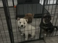 processed/d1829409-9a0c-4576-b586-43245b05fe49/listing/84b33661-1066-4e6f-8580-93ee0bee46ba/55606df5-bb9e-4680-9343-4cd8d0dadf94