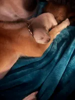 processed/d1829409-9a0c-4576-b586-43245b05fe49/listing/84b33661-1066-4e6f-8580-93ee0bee46ba/91c10bb2-3fa8-44f2-ba9f-e0cd0bb7e5cd