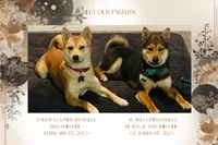 processed/d1829409-9a0c-4576-b586-43245b05fe49/listing/84b33661-1066-4e6f-8580-93ee0bee46ba/c518c0bd-9724-4027-976a-f70da651123a