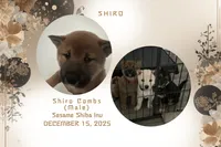 processed/d1829409-9a0c-4576-b586-43245b05fe49/listing/86427f06-60ee-44ff-a82d-e8b83393c8ae/9a056151-23cf-4647-a67a-53cadfc3bc3c