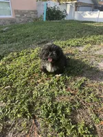 processed/d18338e0-4e3e-407c-ad3c-57afd5129644/listing/0d30621b-45a2-4f8b-8fd8-9a6a023c2e58/52bbb320-9efd-41b4-91c9-ecb92a334dff