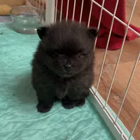 processed/d186a66a-5036-4a43-881a-e47995a7d326/listing/49434700-073e-42af-a413-b028143729c3/1652bea9-17c4-45b6-a9e8-2859ec3a62ea