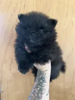 processed/d186a66a-5036-4a43-881a-e47995a7d326/listing/49434700-073e-42af-a413-b028143729c3/27042e89-ab7e-4292-95f5-157437776b7f