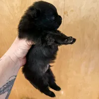 processed/d186a66a-5036-4a43-881a-e47995a7d326/listing/49434700-073e-42af-a413-b028143729c3/6dc8d9ec-4571-4e49-976d-c06156b9d8aa