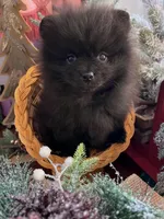 processed/d186a66a-5036-4a43-881a-e47995a7d326/listing/49434700-073e-42af-a413-b028143729c3/8ae8d116-84fd-4e76-80f4-f720192990b7