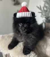 processed/d186a66a-5036-4a43-881a-e47995a7d326/listing/49434700-073e-42af-a413-b028143729c3/999be6c5-96b3-4513-9282-78ae4ab424bd