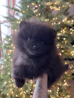 processed/d186a66a-5036-4a43-881a-e47995a7d326/listing/49434700-073e-42af-a413-b028143729c3/a5c35025-2531-4a6d-a48b-b11386a3870e