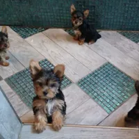 processed/d191e4a0-5627-4c66-816d-2a201d313c05/facility/b454bb0f-6942-4b59-8e68-e9f2c9981dd1