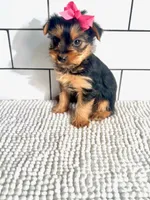 processed/d191e4a0-5627-4c66-816d-2a201d313c05/listing/0da33aac-79e5-454c-843c-21a3de8bec2e/2530f0bc-3df1-4299-be1a-329c3d722f96