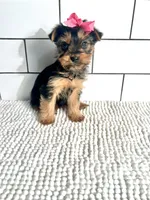 processed/d191e4a0-5627-4c66-816d-2a201d313c05/listing/0da33aac-79e5-454c-843c-21a3de8bec2e/ce902f58-0f60-49b5-8934-2201631d96b7