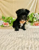 processed/d191e4a0-5627-4c66-816d-2a201d313c05/listing/24a59166-4bc4-4f85-92f0-d5ce74a9fdf6/04608d55-ba28-4bbe-a3ae-fa2537850312