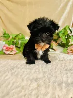 processed/d191e4a0-5627-4c66-816d-2a201d313c05/listing/24a59166-4bc4-4f85-92f0-d5ce74a9fdf6/337f0d0f-0cca-4c27-9a1f-e74646edf096