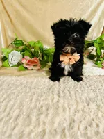 processed/d191e4a0-5627-4c66-816d-2a201d313c05/listing/24a59166-4bc4-4f85-92f0-d5ce74a9fdf6/b8617758-accd-425e-a39f-2bb022f8c8cf