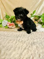 processed/d191e4a0-5627-4c66-816d-2a201d313c05/listing/24a59166-4bc4-4f85-92f0-d5ce74a9fdf6/e1943b3e-7992-465e-bd67-031a9430a1aa