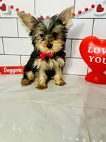 processed/d191e4a0-5627-4c66-816d-2a201d313c05/listing/4b7acba7-60c8-4736-9e54-885b79a5d51a/c1b00148-fe95-422a-bd9c-e0fbe62f8512