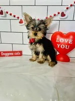 processed/d191e4a0-5627-4c66-816d-2a201d313c05/listing/4b7acba7-60c8-4736-9e54-885b79a5d51a/ebffd063-e71b-43e4-876c-53c3f583b8c3