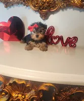 processed/d191e4a0-5627-4c66-816d-2a201d313c05/listing/fe128987-8414-4d56-8684-1c5a2a556cd1/03b4b6a9-c793-4d04-aa71-3fdd7b22f6c4